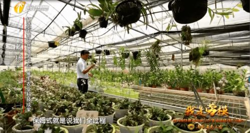 我是勞模丨南繁 保姆 戴揚(yáng) 打造南繁公共服務(wù)平臺 催生更多更好的農(nóng)業(yè)科技成果