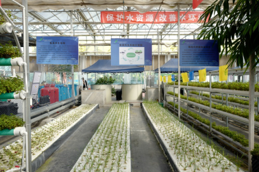 【云參觀回看】相約北京國際都市農(nóng)業(yè)科技節(jié)!感受不一樣的農(nóng)業(yè)“水科技”(中農(nóng)天陸)
