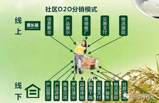 農(nóng)業(yè)電子商務發(fā)展對策