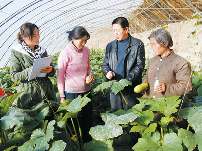 民樂縣不斷加強農(nóng)業(yè)科技培訓服務工作