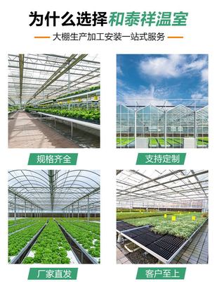 和泰祥農業科技制造農業蔬菜種植養殖連體大棚溫室大棚安裝